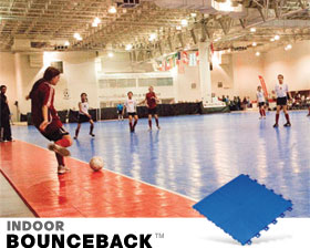 indoorbounceback.jpg